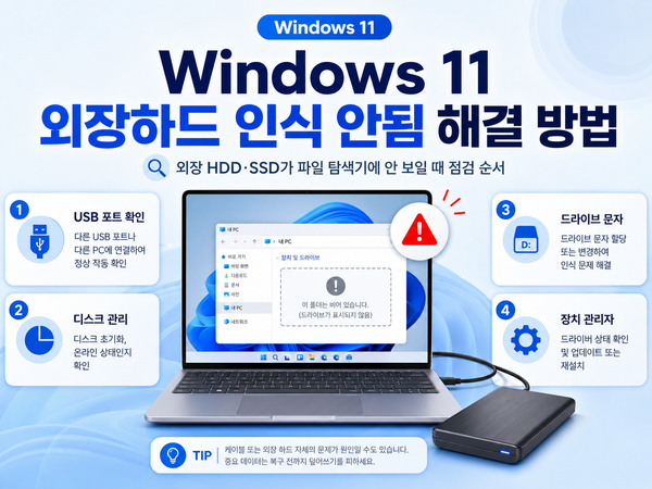 Windows 11 외장하드 인식 안됨: 디스크 관리 상태별 조치