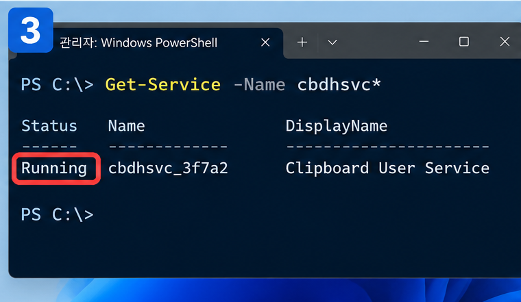 Windows 11 Clipboard User Service cbdhsvc 확인